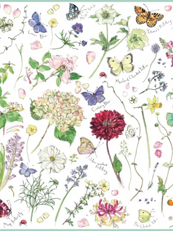 Produit Madeleine Floyd - Flowers & Butterflies Image