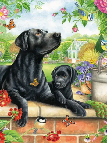 Produit Black Labrador Image