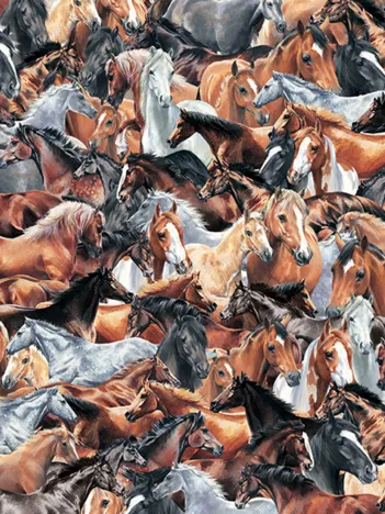 Produit Impossible Puzzle - Horses Image