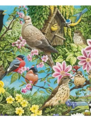 Produit Natures Finest Image