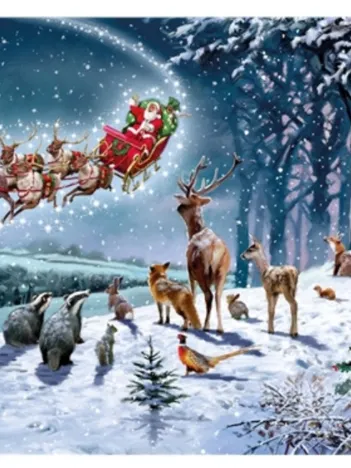 Produit Magical Christmas Image