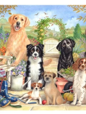 Produit Waiting For Walkies Image