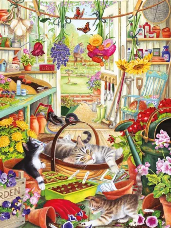 Produit Pièces XXL - Allotment Kittens Image