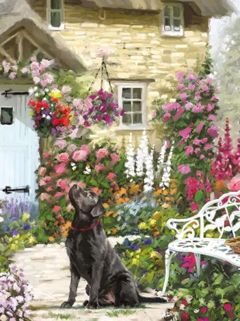 Produit Pièces XXL - Cottage Garden Image