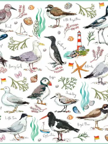 Produit Seabirds Image