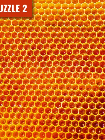 Produit MEISTER-PUZZLE 2 : Nid d'Abeilles Image