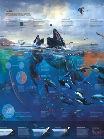 Produit National Geographic - Pacific Coast Image