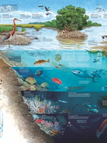 Produit Layers of Life Image