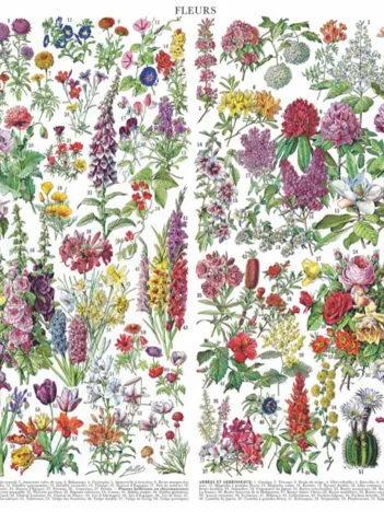 Produit Flowers - Fleurs Image