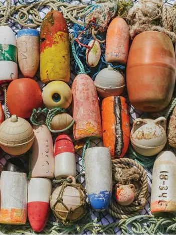 Produit Buoys Collection Image