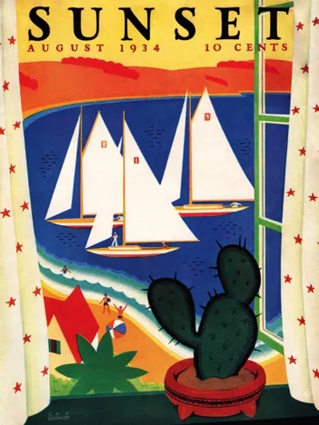 Produit Succulent View Image