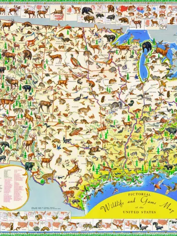 Produit Wildlife Map Image