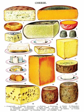 Produit Pièces XXL - Cheese Image