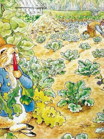 Produit Pièces XXL - Peter Rabbit's Garden Snack Image