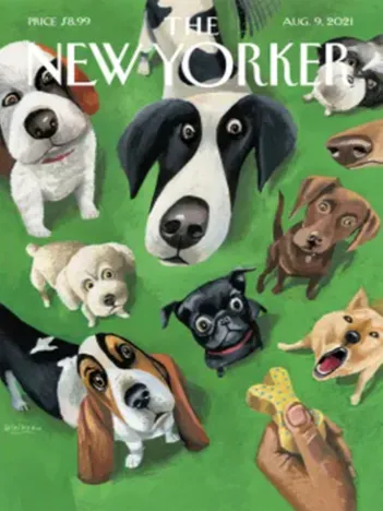 Produit Pièces XXL - The New Yorker - Summer Treat Image