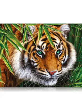 Produit Regard de Tigre Image