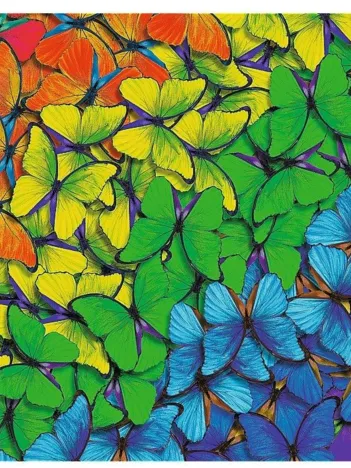 Produit Puzzle en Bois - Rainbow Butterflies Image