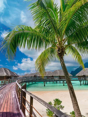 Produit Trefl Prime Puzzle - Paradise Beach - Bora-Bora Image