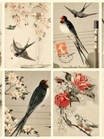 Produit Collage Vintage Image