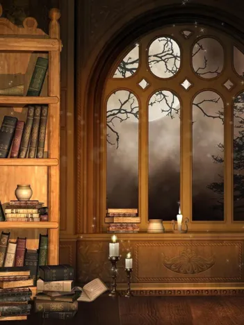 Produit Bibliothèque du Sorcier Image