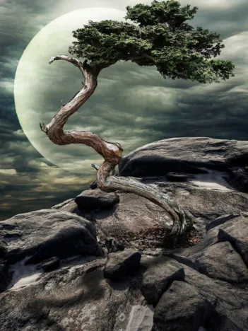 Produit Miracle de la Nature Image