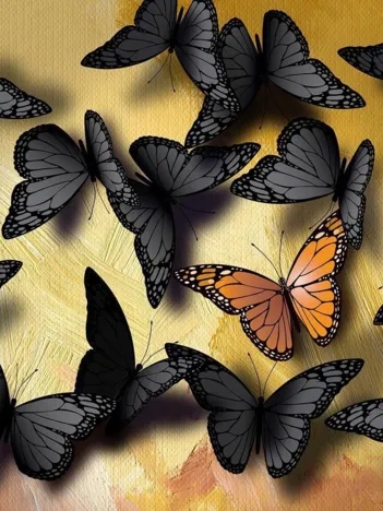 Produit Papillons Image