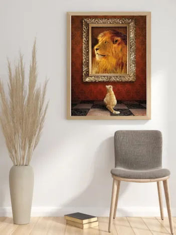 Produit Admiration Image