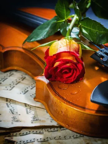 Produit Musique, Amour et Tristesse Image