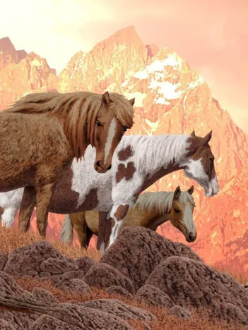 Produit Chevaux Sauvages Image