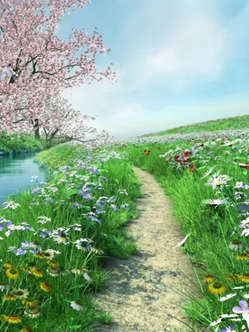 Produit Voyage vers la Paix Image