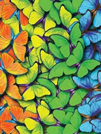 Produit Papillons Multicolores Image