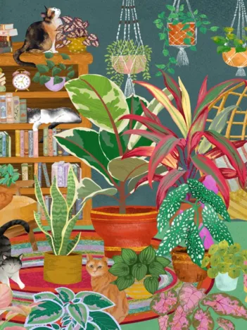 Produit Chats Bohèmes Image