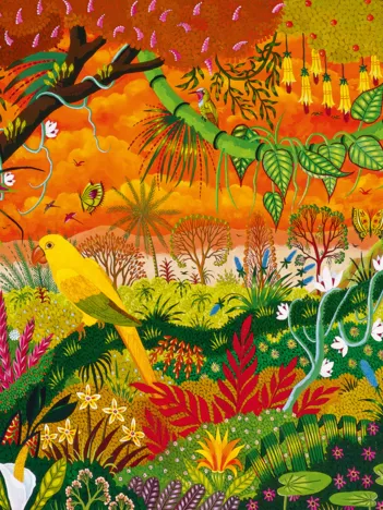 Produit Conure Dorée Image