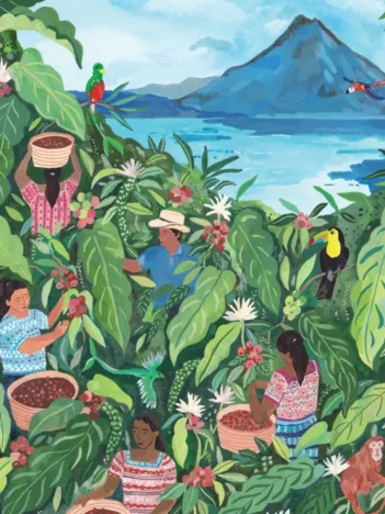 Produit Guatemala Image