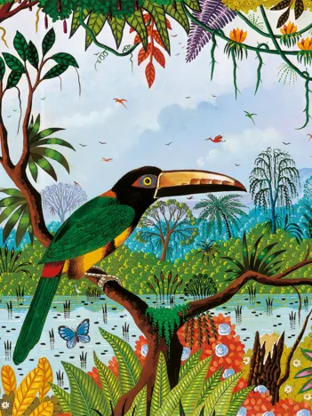 Produit Araçari à Collier Image