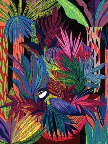 Produit La Naissance de l'Oiseau Image