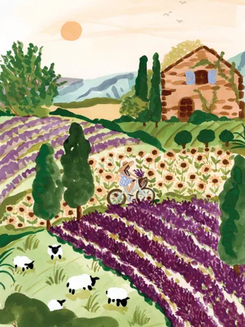 Produit Provence Image