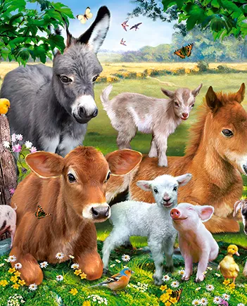 Produit A la Ferme Image