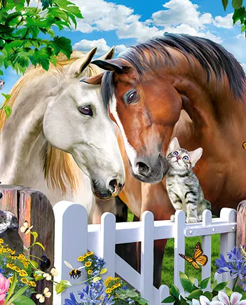 Produit Meilleurs Amis Image