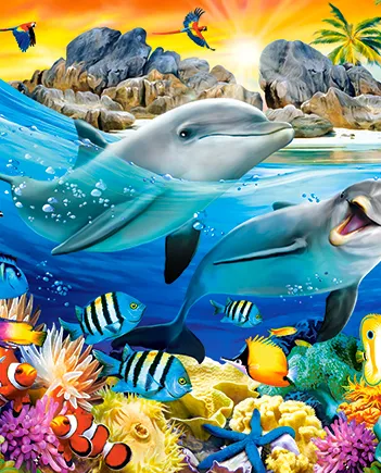 Produit Dauphins dans les Tropiques Image