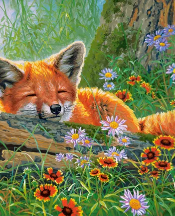 Produit Rêves de Renard Image