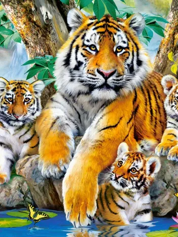 Produit Tigres au Fil de l'Eau Image