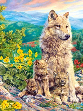 Produit Nouvelle Génération Image