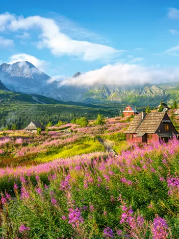 Produit Tatras, Pologne Image