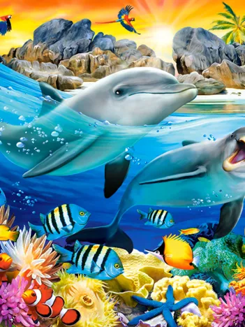 Produit Dauphins sous les Tropiques Image