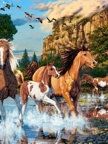 Produit Le Pays des Merveilles du Cheval Image