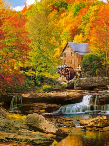 Produit Automne Magique Image