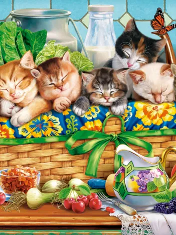 Produit Chatons qui Font la Sieste Image