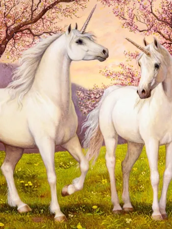 Produit Licornes Amoureuses Image