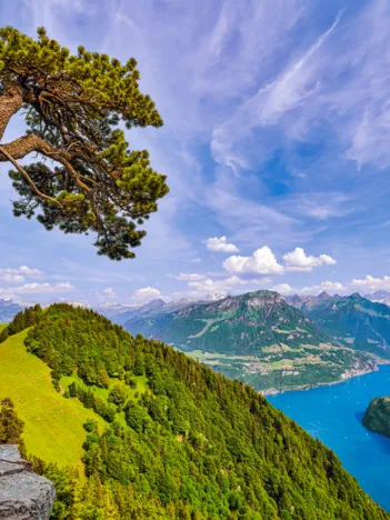 Produit Vue du Lac d'Uri, Suisse Image